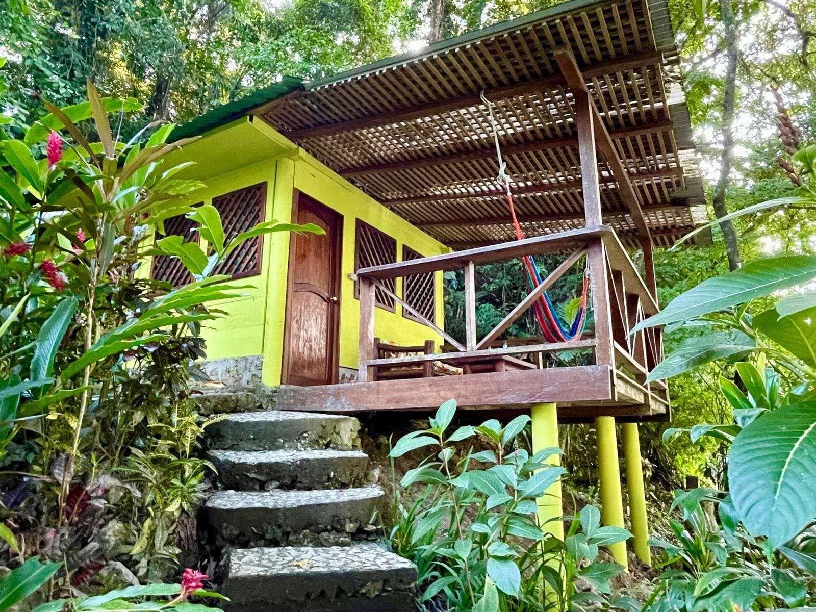 Bungalow caoba Bungalow caoba